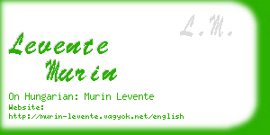 levente murin business card